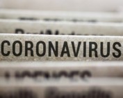 Sospensione termini procedimenti amministrativi corona virus albo innovation manager